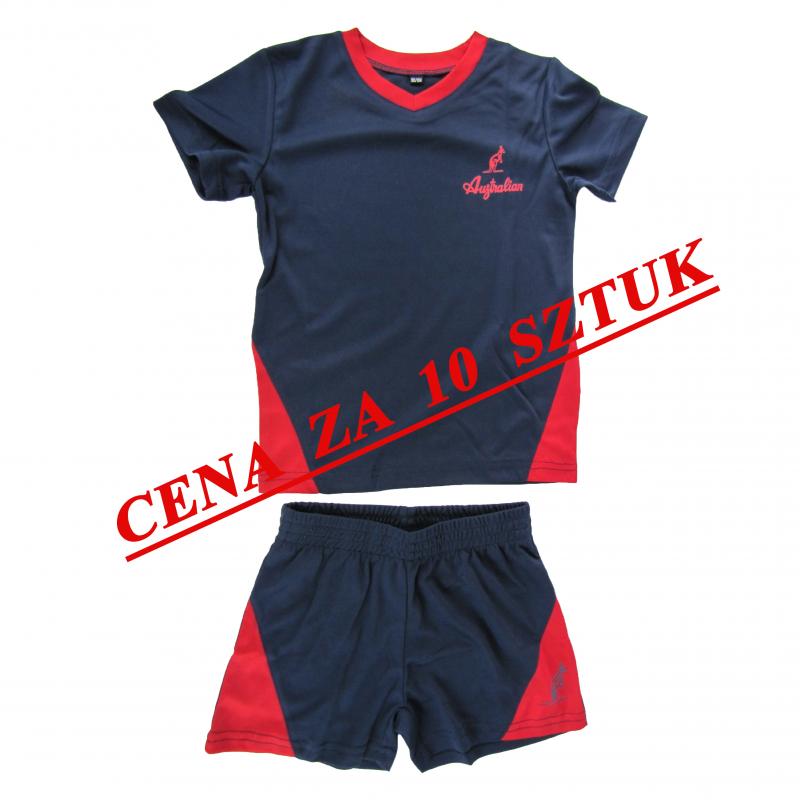 STRÓJ NA WF  (10 sztuk)